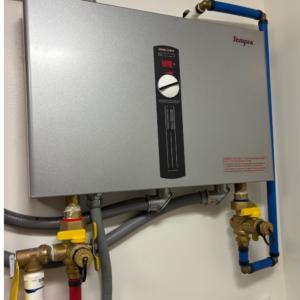 rare electric tankless unit looking for a service price
