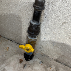Photo of a riser educating gas price